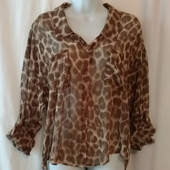 Leopard Print Chiffon Hi-Lo Top - Picture 2 of 7
